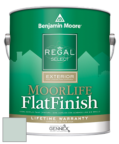 Benjamin Moore W105 Regal Select Exterior Paint-MoorLife Flat Finish краска цвет 708 White Rain