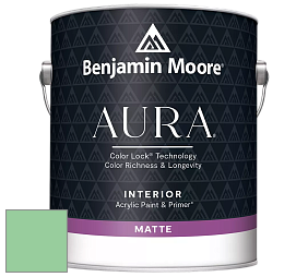 Benjamin Moore Aura 522 Interior Paint - Matte краска цвет NCS S 1040-G10Y 