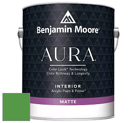 Benjamin Moore Aura 522 Interior Paint - Matte краска цвет NCS S 2070-G20Y 