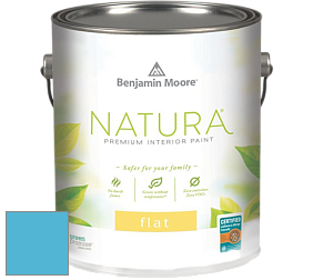Benjamin Moore 512 Natura Interior Flat Finish матовая краска цвет NCS S 1050-B 