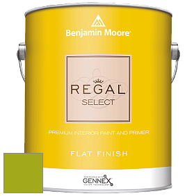 Benjamin Moore 547 Regal Select Waterborne Interior Flat Finish краска цвет 2027-10 Dark Lime