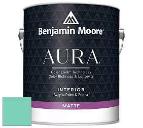 Benjamin Moore Aura 522 Interior Paint - Matte краска цвет NCS S 1040-B80G 