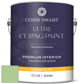 COLOR SMART CS 758 ULTRA CEILING PAINT ультраматовая краска цвет 550 Paradise Hills Green