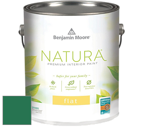 Benjamin Moore 512 Natura Interior Flat Finish матовая краска цвет NCS S 4050-G 