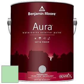 Benjamin Moore Aura 631 Waterborne Exterior Satin Finish краска цвет 2033-50 Bud Green