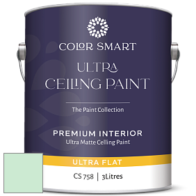 COLOR SMART CS 758 ULTRA CEILING PAINT ультраматовая краска цвет NCS S 0520-G 