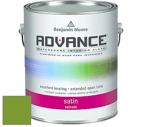 Benjamin Moore 792 Advance Interior Paint-Satin эмаль цвет 2029-20 Baby Fern