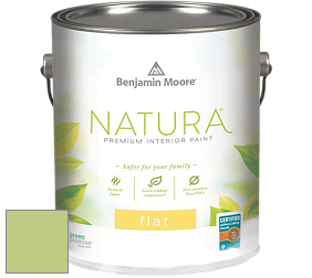 Benjamin Moore 512 Natura Interior Flat Finish матовая краска цвет NCS S 1040-G40Y 