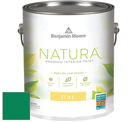 Benjamin Moore 512 Natura Interior Flat Finish матовая краска цвет NCS S 3060-G 