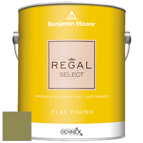 Benjamin Moore 547 Regal Select Waterborne Interior Flat Finish краска цвет 2145-20 Terrapin Green