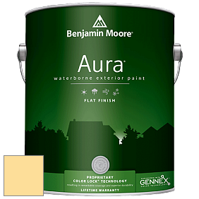 Benjamin Moore Aura 629 Waterborne Exterior Flat Finish краска цвет 2020-50 Mellow Yellow