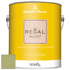 Benjamin Moore 547 Regal Select Waterborne Interior Flat Finish краска цвет 538 Vienna Green