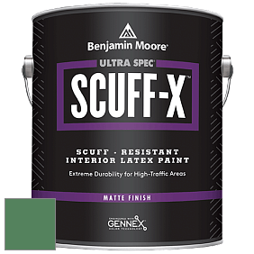 Benjamin Moore 484 Ultra Spec SCUFF-X Interior Matte Finish краска цвет NCS S 4040-G10Y 