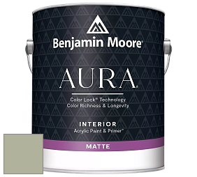 Benjamin Moore Aura 522 Interior Paint - Matte краска цвет AF-455 