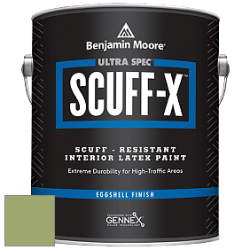 Benjamin Moore 485 Ultra Spec SCUFF-X Interior Eggshell Finish краска цвет 544 Kiwi