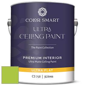 COLOR SMART CS 758 ULTRA CEILING PAINT ультраматовая краска цвет NCS S 0570-G40Y 