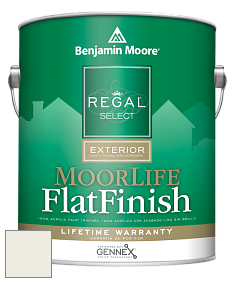 Benjamin Moore W105 Regal Select Exterior Paint-MoorLife Flat Finish краска цвет AF-15 
