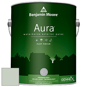 Benjamin Moore Aura 629 Waterborne Exterior Flat Finish краска цвет AF-485 
