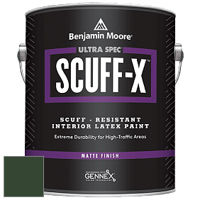Benjamin Moore 484 Ultra Spec SCUFF-X Interior Matte Finish краска цвет RAL 6020 