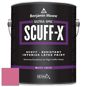 Benjamin Moore 484 Ultra Spec SCUFF-X Interior Matte Finish краска цвет NCS S 1060-R20B 