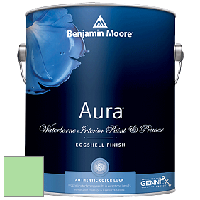 Benjamin Moore Aura 524 Waterborne Interior Eggshell Finish краска цвет NCS S 0540-G20Y 