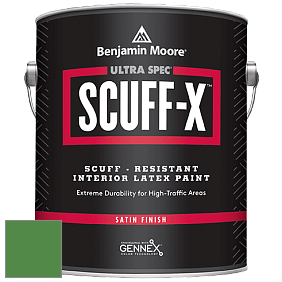 Benjamin Moore 486 Ultra Spec SCUFF-X Interior Satin Finish краска цвет NCS S 3060-G20Y 