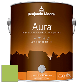 Benjamin Moore Aura 634 Waterborne Exterior Low Lustre Finish краска цвет 419 Malachy Green