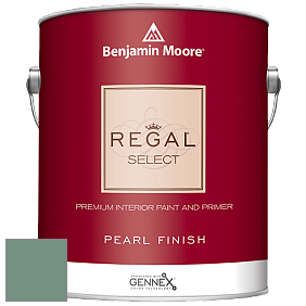 Benjamin Moore 550 Regal Select Waterborne Interior Pearl Finish краска цвет NCS S 4020-G 