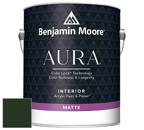 Benjamin Moore Aura 522 Interior Paint - Matte краска цвет RAL 6007 