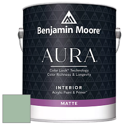 Benjamin Moore Aura 522 Interior Paint - Matte краска цвет 627 Spring Break