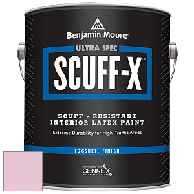 Benjamin Moore 485 Ultra Spec SCUFF-X Interior Eggshell Finish краска цвет 2080-60 Posy Pink