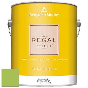 Benjamin Moore 547 Regal Select Waterborne Interior Flat Finish краска цвет 419 Malachy Green