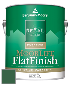 Benjamin Moore W105 Regal Select Exterior Paint-MoorLife Flat Finish краска цвет 2040-10 Rainforest Foliage