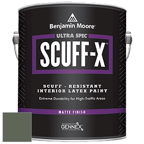 Benjamin Moore 484 Ultra Spec SCUFF-X Interior Matte Finish краска цвет AF-480 