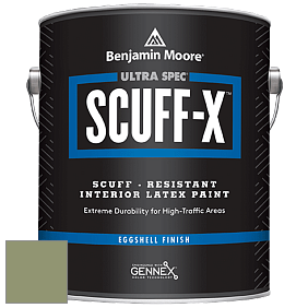 Benjamin Moore 485 Ultra Spec SCUFF-X Interior Eggshell Finish краска цвет NCS S 4020-G50Y 