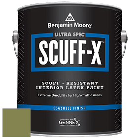 Benjamin Moore 485 Ultra Spec SCUFF-X Interior Eggshell Finish краска цвет NCS S 4040-G50Y 