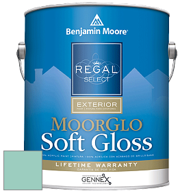 Benjamin Moore W096 Regal Select Exterior Paint-Moor GloSoft Gloss Finish краска цвет 647 Fun 'n Games