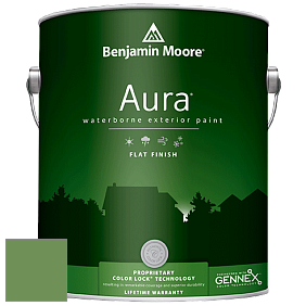 Benjamin Moore Aura 629 Waterborne Exterior Flat Finish краска цвет 553 Richmond Green