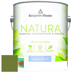Benjamin Moore 513 Natura Interior Eggshell Finish краска с блеском цвет NCS S 3560-G40Y 