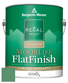 Benjamin Moore W105 Regal Select Exterior Paint-MoorLife Flat Finish краска цвет 588 Luck of the Irish