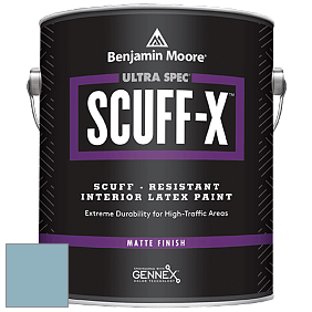 Benjamin Moore 484 Ultra Spec SCUFF-X Interior Matte Finish краска цвет 1663 New Born's Eyes