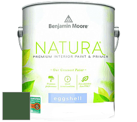 Benjamin Moore 513 Natura Interior Eggshell Finish краска с блеском цвет NCS S 5540-G20Y 