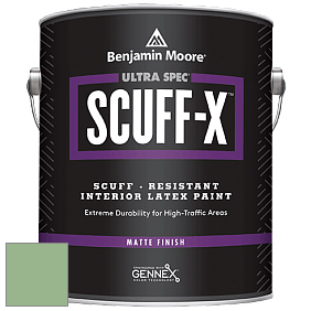Benjamin Moore 484 Ultra Spec SCUFF-X Interior Matte Finish краска цвет 564 Gumdrop