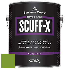 Benjamin Moore 484 Ultra Spec SCUFF-X Interior Matte Finish краска цвет 2029-20 Baby Fern