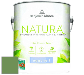 Benjamin Moore 513 Natura Interior Eggshell Finish краска с блеском цвет 553 Richmond Green
