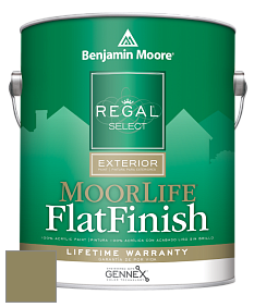 Benjamin Moore W105 Regal Select Exterior Paint-MoorLife Flat Finish краска цвет 504 Nature's Reflection
