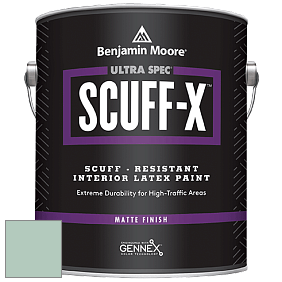 Benjamin Moore 484 Ultra Spec SCUFF-X Interior Matte Finish краска цвет 632 Bridal Bouquet