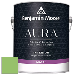 Benjamin Moore Aura 522 Interior Paint - Matte краска цвет 558 Killala Green