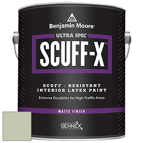 Benjamin Moore 484 Ultra Spec SCUFF-X Interior Matte Finish краска цвет 438 Spring Valley