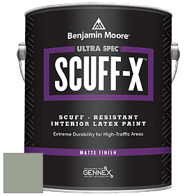 Benjamin Moore 484 Ultra Spec SCUFF-X Interior Matte Finish краска цвет 460 Herb Bouquet
